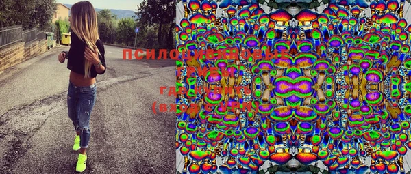 прущие крисы Каменногорск